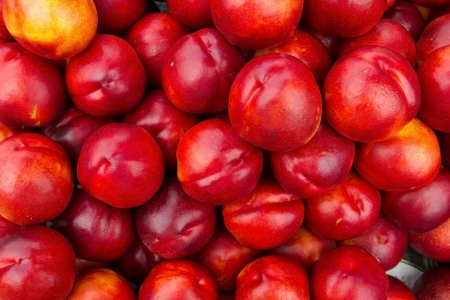 Close up of a large collection of red nectarineの写真素材