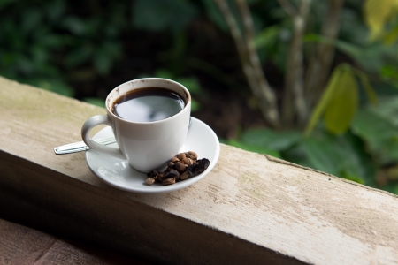 Cup of Kopi Luwak, world's most expensive coffee from Bali Indonesiaの写真素材