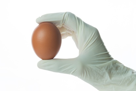 Food safety concept with hand hold egg on white backgroundの写真素材
