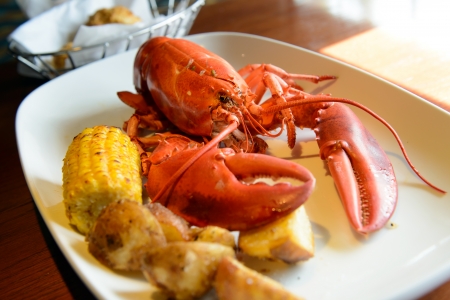 Roasted live maine red lobster served on plate