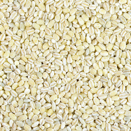 Barley close up studio shot from top viewの写真素材