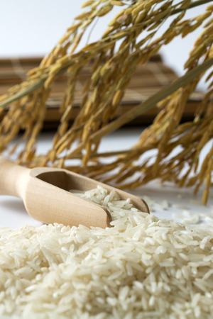 Rice grain with wooden scoop and paddyの写真素材