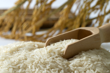 Rice grain with wooden scoop and paddyの写真素材