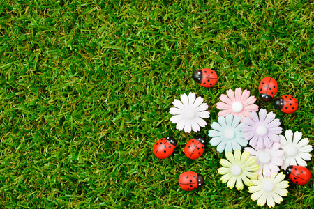 Green grass spring garden with ladybugs and flowerの写真素材