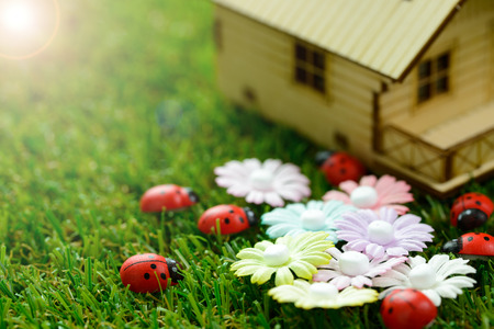 Concept of eco friendly house with ladybirds and flowers on green grassの写真素材
