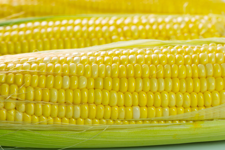Corn cob with part of the husk removed