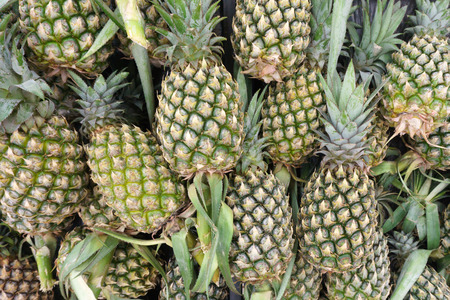 Pile of pineapples on sale in the marketの写真素材