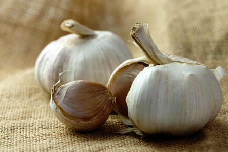 Fresh garlic cloves on gunny sackの写真素材