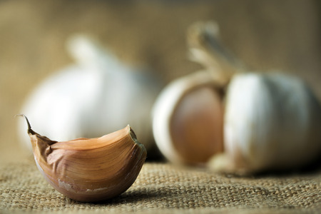 Fresh garlic cloves on gunny sackの写真素材
