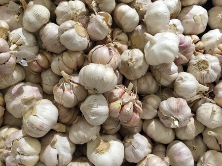 Group of garlics on saleの素材