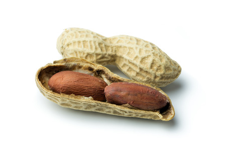 Peanut shell and nuts on white backgroundの写真素材