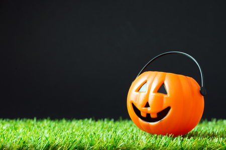 Halloween theme with pumpkin bucket on green grassの写真素材