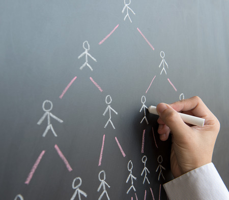 Hand draw multi level marketing diagram on black board