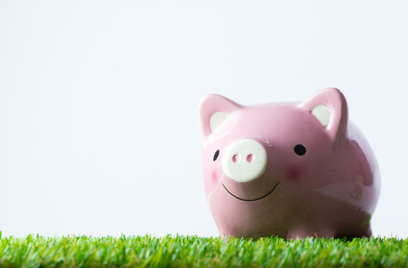 Pink color piggy bank on green fieldの写真素材
