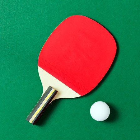 paddle with a white ball on green table