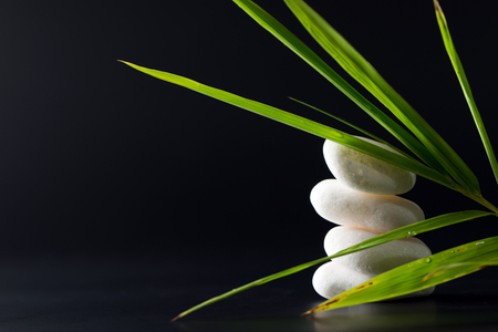 Zen pebbles and green leaves over black backgroundの写真素材