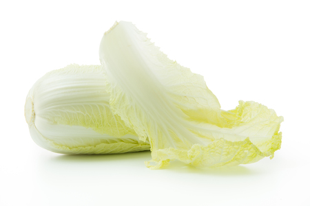 Fresh Chinese cabbage isolated on white backgroundの写真素材