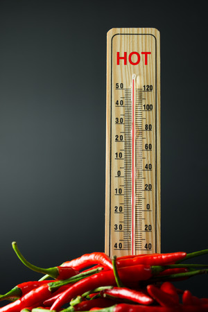 Pile of red chili peppers and wooden thermometer over black backgroundの写真素材