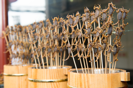 Grill and fried scorpions on stick from Wangfujing street at Beijing, Chinaの写真素材