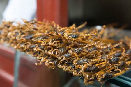 Grill and fried scorpions on stick from Wangfujing street at Beijing, Chinaの写真素材