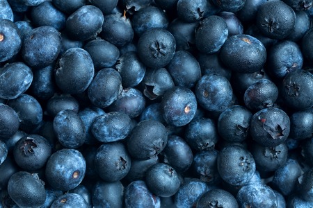 Pile of fresh blueberries fruit background with mist