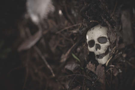 Heap of skulls on ground for halloween designの写真素材