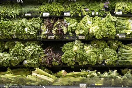 Michigan, US - JUL 27, 2019: Wide selection of fresh vegetables on shelf display in a supermarket at...