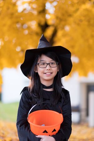Portrait of little asian girl in witch costume with pumpkin for halloween celebrationの写真素材