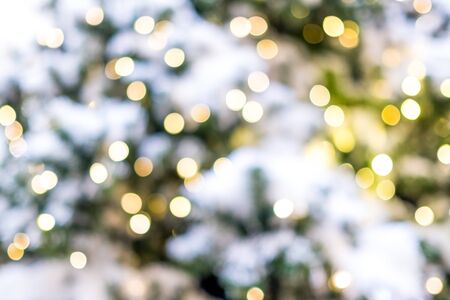 Blurred Christmas tree light background with snowの写真素材