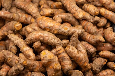 Pile of fresh turmeric roots view from topの写真素材