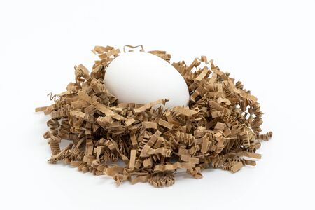 Lay flat view one white chicken egg in the middle of nest isolated on white