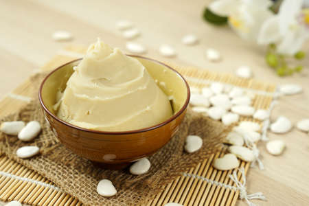Japanese shiroan or white bean paste in a bowl, the filling used to make mochi and wagashi