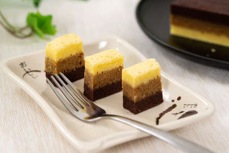 Chocolate coffee three layers steamed cake, a famous Malaysia and Indonesia kek lapisの写真素材