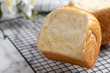 Homemade bake sweet bun or dinner roll ready to be served