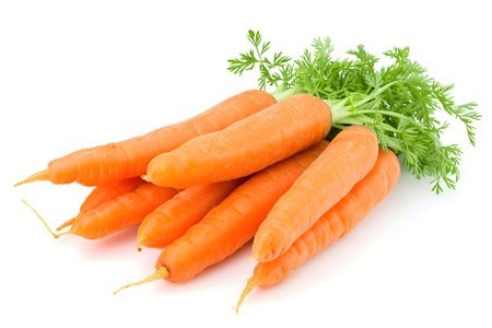 Fresh carrot vegetables with leaves isolated on blank white backgroundの素材