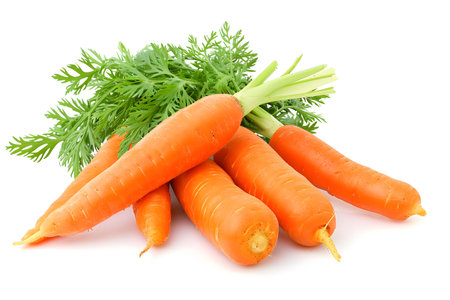 Fresh carrot vegetables with leaves isolated on blank white backgroundの素材