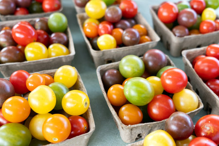 Square baskets filled with small colorful cherries tomatoes at the local farmer marketの写真素材