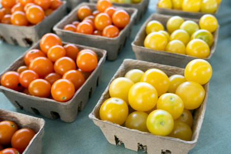 Square baskets filled with small colorful cherries tomatoes at the local farmer marketの写真素材