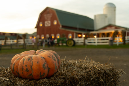 Single orange pumpkins on the hay at a farm for decoration against farm house during autumn season in Octoberの写真素材