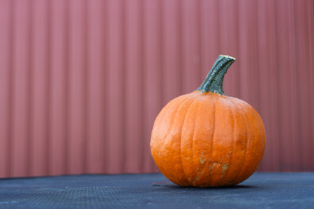 One orange pumpkin placed on a dark, textured surface against a muted red wall background, adding to the autumnal atmosphere of the scene.の写真素材