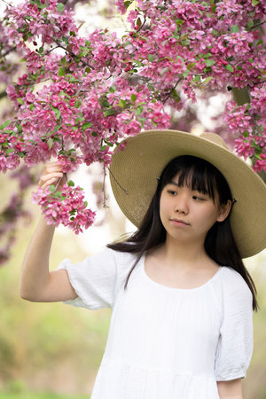A portrait of a girl teen in a white dress smiling under a tree covered in vibrant pink flowers, set in springtime.の写真素材