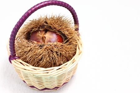 i tried to express the feeling of autumn.の写真素材