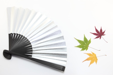atmosphere of autumn with maple leaves の写真素材
