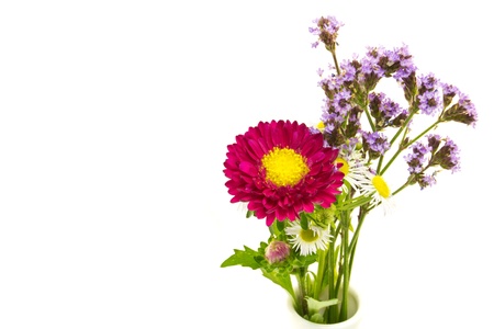 This is a picture of astor and wildflowers, I have taken の写真素材