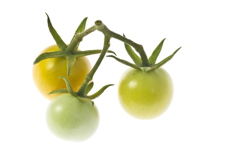 This is a picture of cherry tomatoes I have grown の写真素材