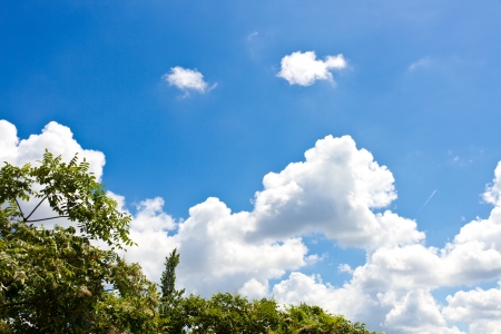 This is a picture of the sky of the summer I was taken in July.の写真素材
