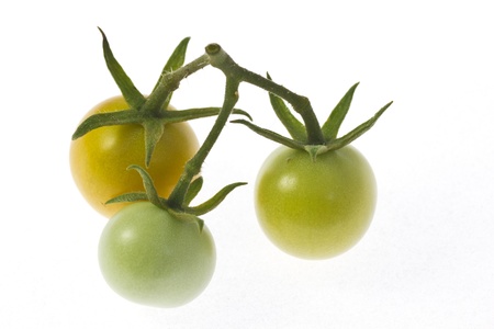 This is a picture of cherry tomatoes I have grown の写真素材