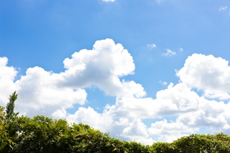 This is a picture of the sky of the summer I was taken in July.の写真素材