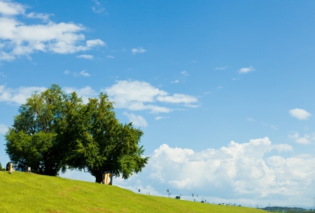 This is a photograph of a landscape of riverside I took in August.の写真素材