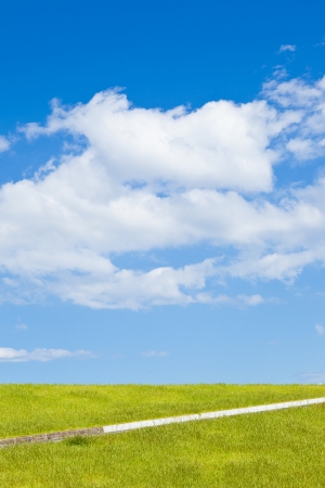 a meadow and blue sky summerの写真素材
